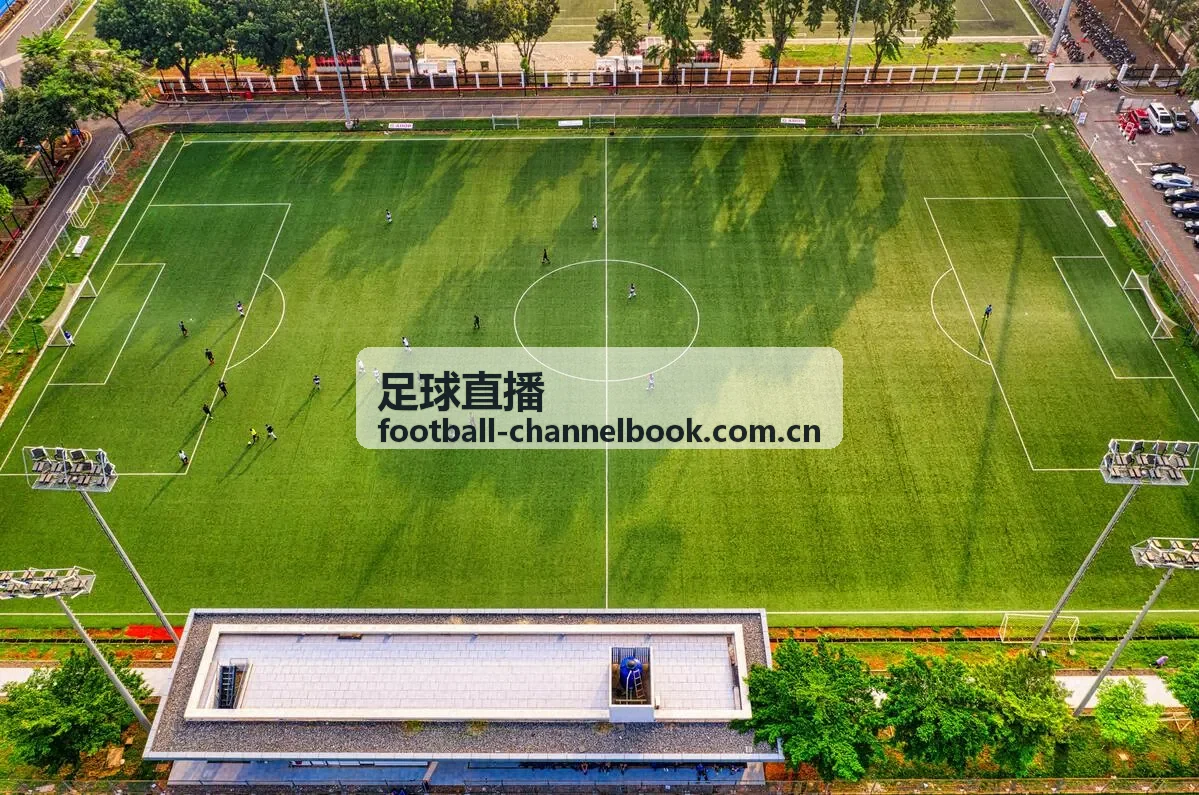 欧冠足球直播观赛入门指南