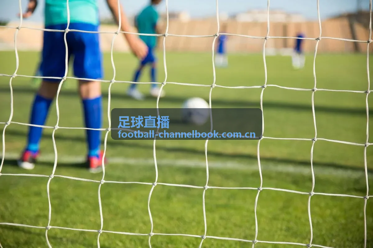 足球直播观赛中的社区与礼仪